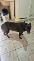 Mel