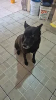 Mel