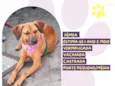 Rebeca