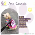 Ana Castela