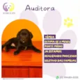Auditora