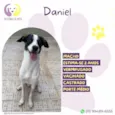 Daniel