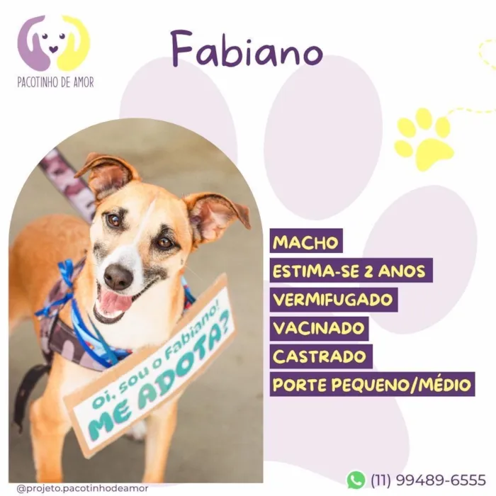Cachorro raça SRD-ViraLata idade 2 anos nome Fabiano