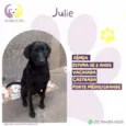 Julie