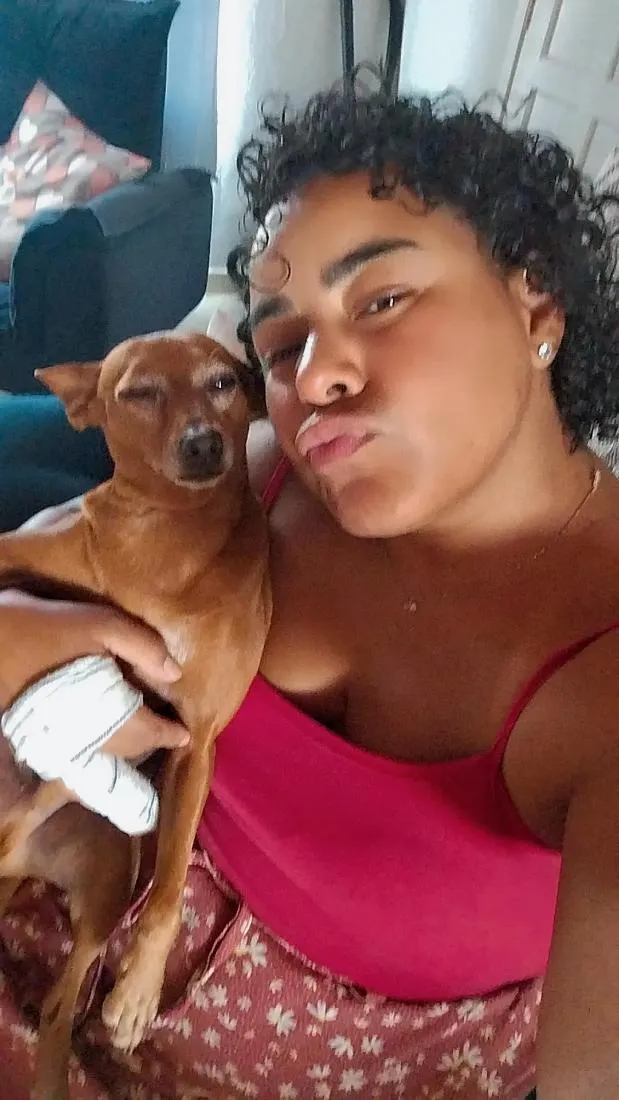 Cachorro raça Pinscher idade 6 ou mais anos nome Caramelo