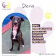 Dora