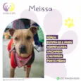 Melissa