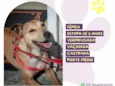 Carmela