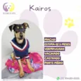 Kairos