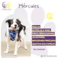 Hércules