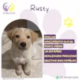 Rusty