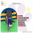 Julinho