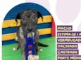 Julinho