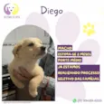 Diego