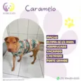 Caramelo