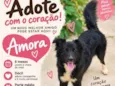 Amora