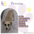 Princesa