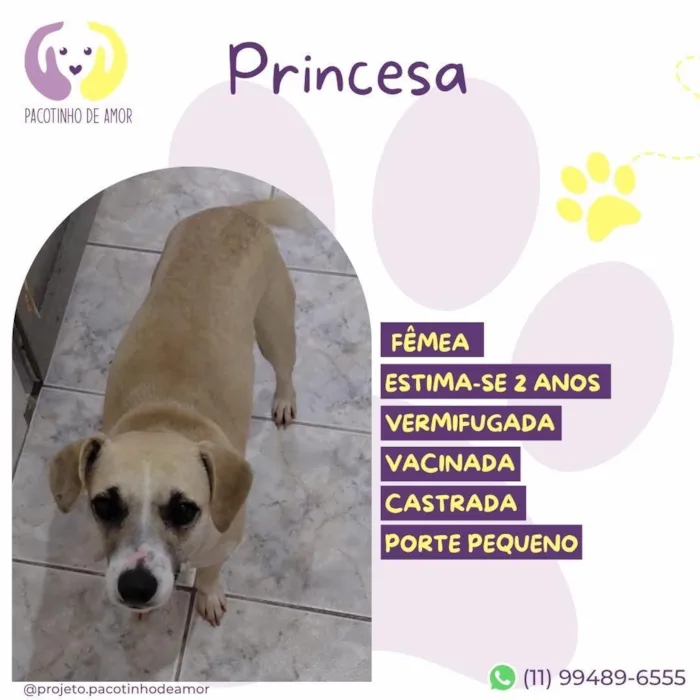 Cachorro raça SRD-ViraLata idade 2 anos nome Princesa