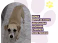 Princesa