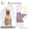 Branquinha
