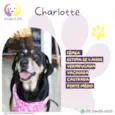 Charlotte