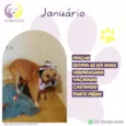 Januário 