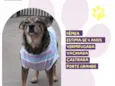Loba