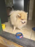 não tem 