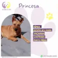 Princesa