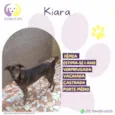 Kiara
