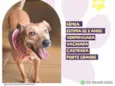 Clarinha