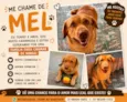 Mel