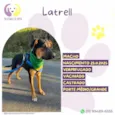 Latrell