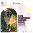 Flora