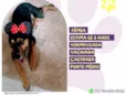 Dona Flor