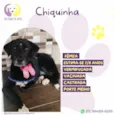 Chiquinha