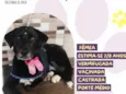 Chiquinha