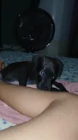 zoye