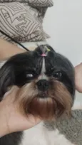 Nala