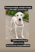 Princesa