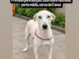 Princesa