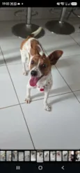 Mabel