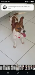 Mabel