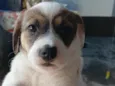 Ainda não tem um nome