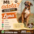 Luna