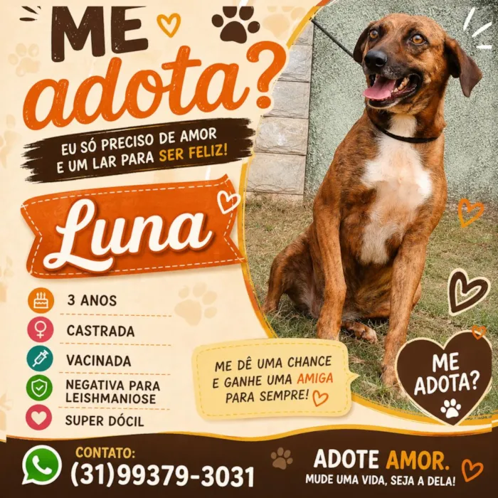 Cachorro raça SRD-ViraLata idade 3 anos nome Luna