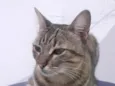 Frederico 