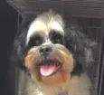 Bob