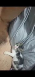 Tom