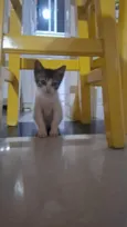 Tom